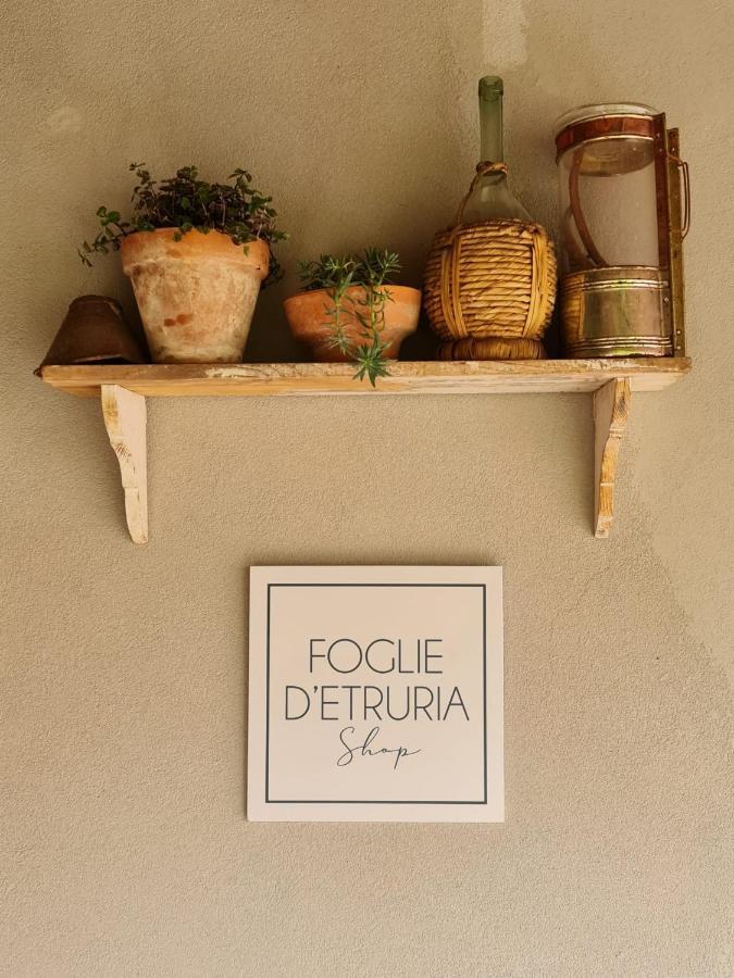 Il Pievano B&B Campiglia Marittima Eksteriør billede