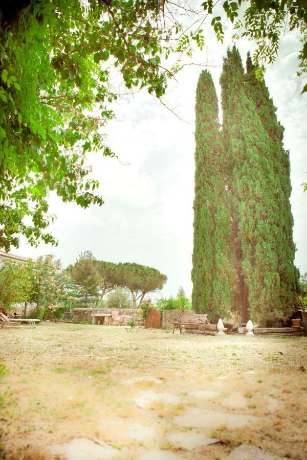 Il Pievano B&B Campiglia Marittima Eksteriør billede